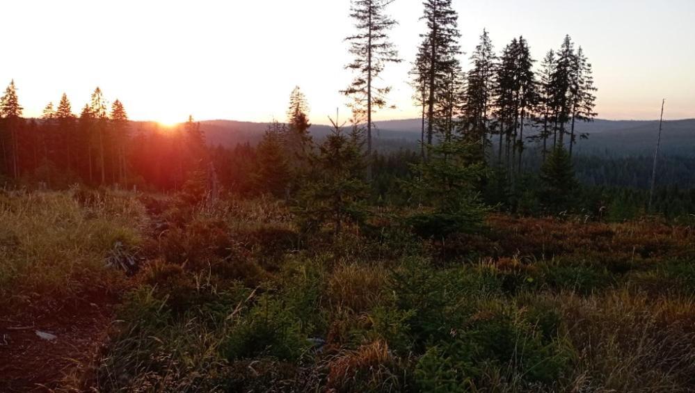 Ubytovani U Krizku Модрава Экстерьер фото