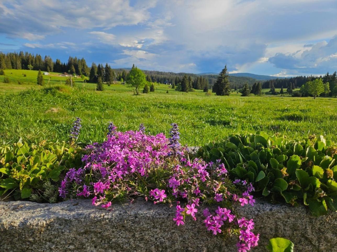Ubytovani U Krizku Модрава Экстерьер фото